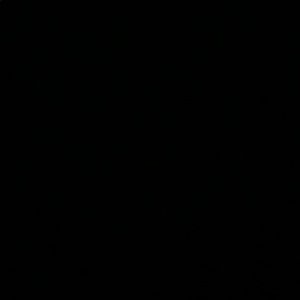 Meet your Posher, Maizie